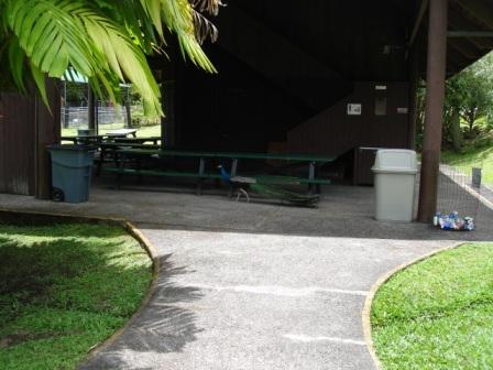 zoo peacock hilo